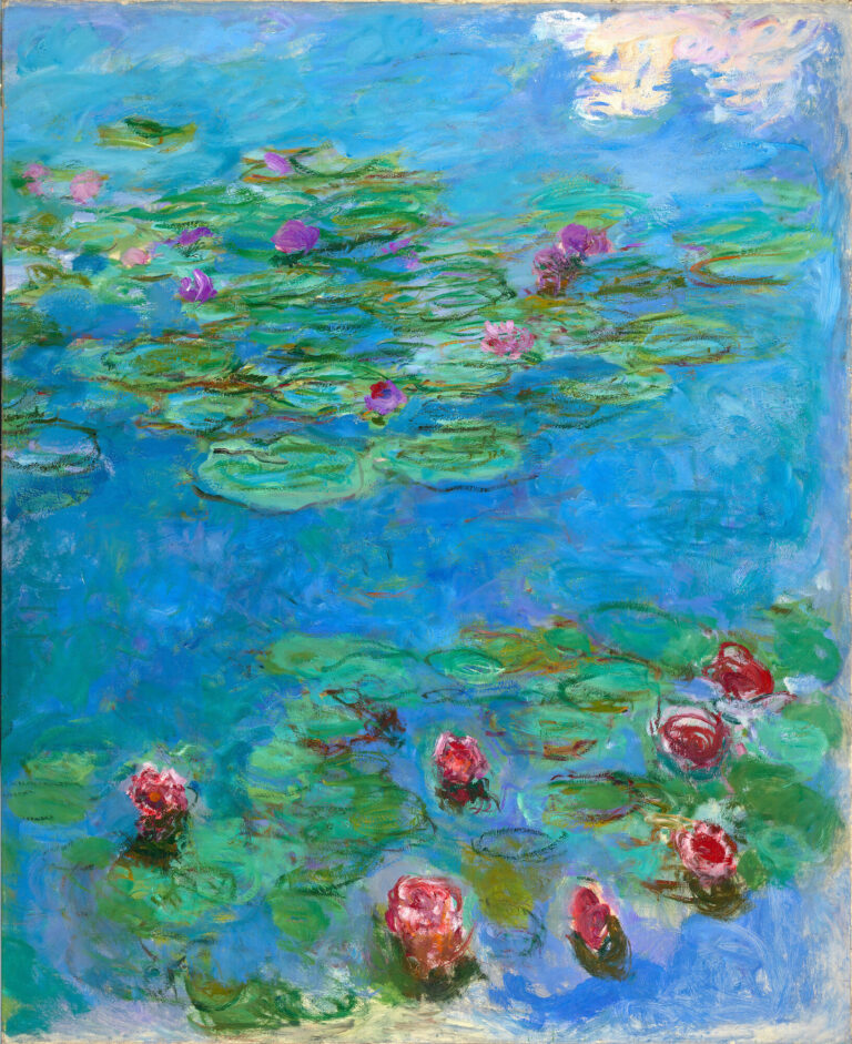 睡蓮